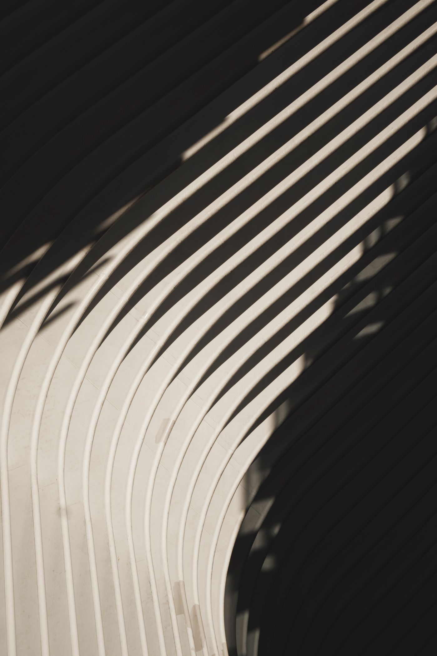 Curved architectural lines in light and shadow.
